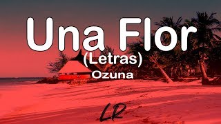 Ozuna - Una Flor (Letras / Lyrics)