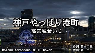 神戸やっぱり港町 / 高宮城せいじ　Roland Aerophone AE-10 Cover