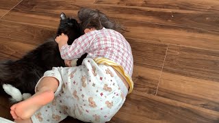 寝ぼけた娘から抱きつかれる猫　ラガマフィン　A cat hugged by a sleeping daughter