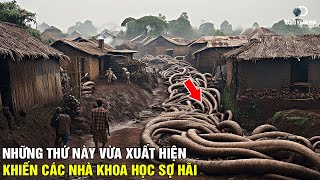 Khám Khá Kinh Hoàng Mới Ở Sa Mạc Khiến Các Nhà Khoa Học Sợ Hãi!