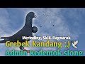 Virall Ragnarok_  Grebek Kandang Admin Group Kedemok siong// Skill Merpati Baru super Tok cerr ;, ‼️