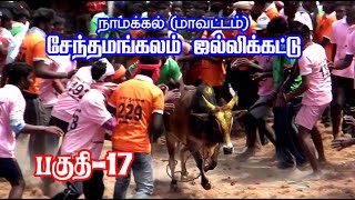 சேந்தமங்களம் ஜல்லிக்கட்டு | நாமக்கல் (மா) | பகுதி - 18 | தங்கம் டிவி | SENTHAMANGALAM JALLIKATTU