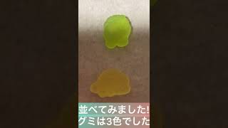 カービィぷっくりラバマスグミ食べてみた!#shorts ＃カービィ #おやつ