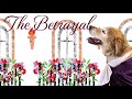 the dog operas trailer