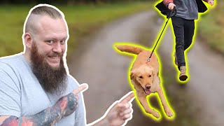 How To Stop Your Dog PULLING On The Leash