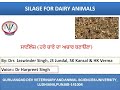 SILAGE FOR  DAIRY ANIMALS