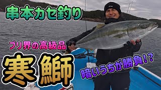 【串本カセ釣り】暗いうちが勝負！？まん丸太ったメタボ寒ブリとったどーー!!!