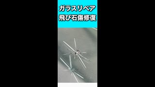 フロントガラスの出張ガラスリペア中に土砂降り！なんとか施工完了【静岡県 三島市】