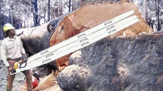 Amazing Dangerous Skills Fastest Big Tree Felling, Extreme Biggest Tree Cutting Down Machines
