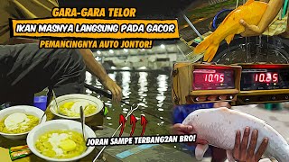 GARA2 MANCING NGELAWAN KODRAT! UMPAN GALAPUNG DIPAKE DI GALATAMA MAS AUTO NGEBABAT! MESIN DIESEL BRO