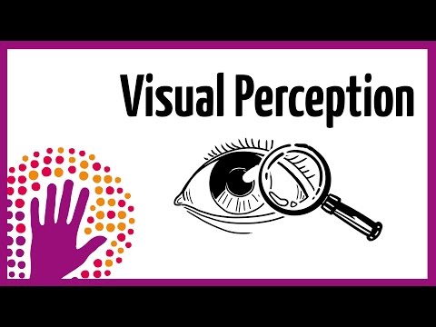 What is human visual perception?
