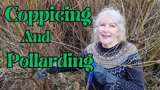 Coppicing and Pollarding