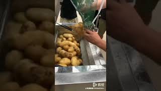 土豆削皮机 Potato peeler