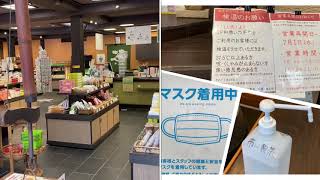 〜伊豆に香るぐり茶〜市川製茶湯の花通り店