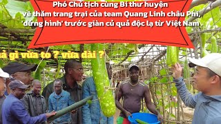 Phó Chủ tịch cùng Bí thư huyện - thăm trang trại - 'đứng hình' trước giàn củ quả độc lạ từ Việt Nam.