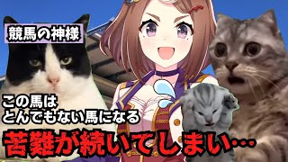 【36】猫ミームでわかるツルマルツヨシ #猫ミーム #猫マニ #ウマ娘