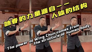 咏春拳法的力量来自于——人体的结构！/The power of Wing Chun comes from the structure of human body！