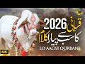 Qurbani 2026 Kalam - Lo Aagyi Qurbani - #qurbani2026 #hajj2026 - IA Series - Official Video