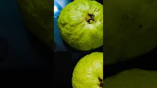 আমাদের গাছের পেয়ারা#short #viral