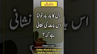 True Lines | Best Urdu Islamic Poetry and Quotes about Life | Golden Words | choice is voice