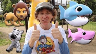 Matt Sings At The Park | Baby Shark, What Do You See? | Learn Colors, Wild Animals
