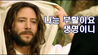 (부활절)나를 믿는 자는(나는 부활이요 생명이니)박수영로뎀나무ccm broom tree