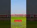 Tirumala Express view in paddy fields#shorts #trending #viralshorts #indianrailways #train #travel