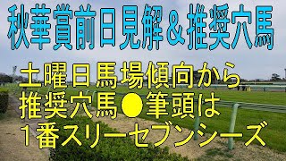 秋華賞前日見解、馬場傾向から推奨穴馬●は？＜好走パターン重視の競馬予想＞