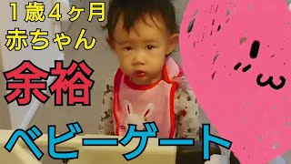 【１歳４ヶ月】ベビーゲート乗り越えるよ