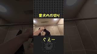 ハンモックと目隠しで愛犬の爪切りをします