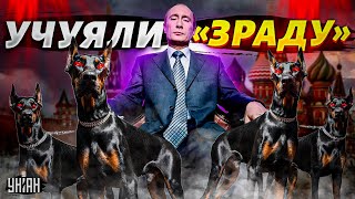 Путинские псы учуяли зраду. Кремль продался Турции с потрохами - Арестович