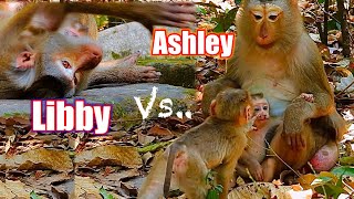 LiLy baby go to meet Old monkey Ashly help../ what happened..?!