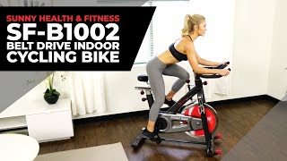 Sunny Health & Fitness SF-B1002 Drive Indoor Cycling Bike