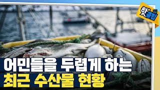 [핫클립] 몸소 느끼고 있는 식량 위기 상황 / YTN 사이언스