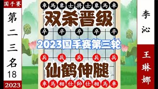 象棋神少帅：2023国手赛第三轮 王琳娜仙鹤伸腿 双杀李沁 夺亚军