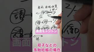 社労士試験で出る「産前産後休業」の覚え方　#shorts