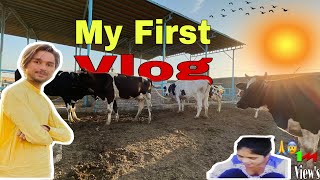 MY FIRST VLOG || My MY FIRST VLOG ON YOUTUBE || MY FIRST VLOG 2023 || Shameer Ghouri Vlogs