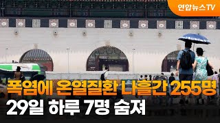 폭염에 온열질환 나흘간 255명…29일 하루 7명 숨져 / 연합뉴스TV (YonhapnewsTV)