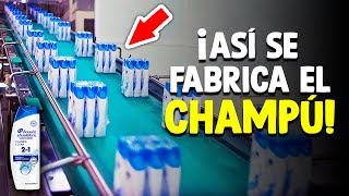 ¿Cómo Se Hace El Champú? [Proceso En Fábrica]