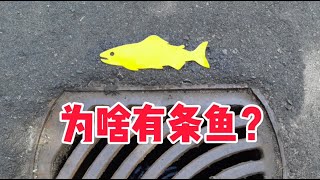 雨水井旁這條魚是什麼意思？ What does fish symbol/marking mean on storm drain?