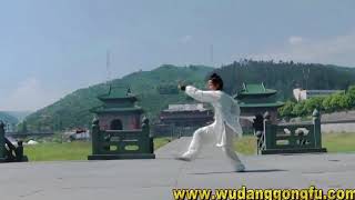 Wudang Xuan Wu Quan Performance at Yuxu Gong - Yuan Xiu Gang's School