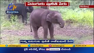 Elephant Calf Named After Puneeth Rajkumar | గున్న ఏనుగుకు పునీత్  పేరు