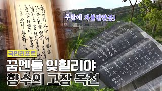 문학과 낭만이 있는 고장! 충북 옥천에 가다 [국민리포트]