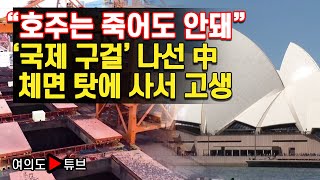 [여의도튜브] “호주는 죽어도 안돼” ‘국제 구걸’ 나선 中 체면 탓에 사서 고생 /머니투데이방송