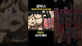 밀짚모자 해적단 현상금 단체 떡상ㄷㄷ…#원피스