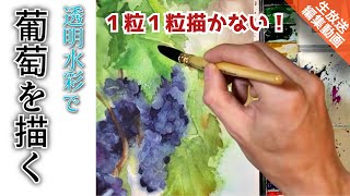 【LIVE編集動画】透明水彩 ぶどうを描く/描き方 つらら庵