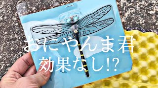 おにやんま君効果なし⁉︎虫除け最強のおにやんま君を登山で検証‼︎