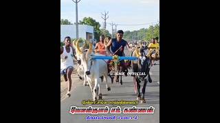 எம்.கண்ணன் வேலன்குளம் 💥 #kmk #shorts #reels #viral #1million #trending #rekla_race_2022 #cow #tamil