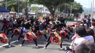 2014-5　第１５回よさこいinおいでん祭「笑\