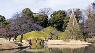 小石川後楽園　東京都文京区　2016年2月13日撮影